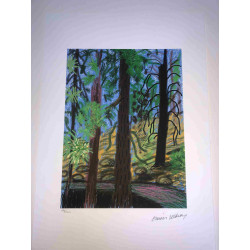 David Hockney  Litografia off set cm 50x70 certificata