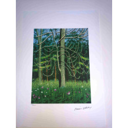 David Hockney  Litografia off set cm 50x70 certificata