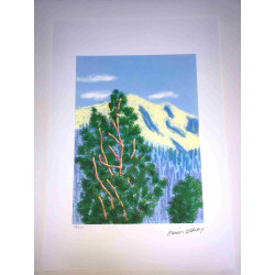 David Hockney  Litografia off set cm 50x70 certificata