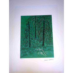David Hockney  Litografia off set cm 50x70 certificata