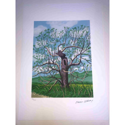 David Hockney  Litografia off set cm 50x70 certificata