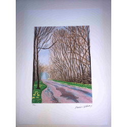David Hockney  Litografia off set cm 50x70 certificata