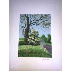 David Hockney  Litografia off set cm 50x70 certificata