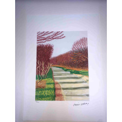 David Hockney  Litografia off set cm 50x70 certificata