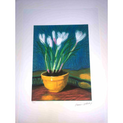David Hockney  Litografia off set cm 50x70 certificata