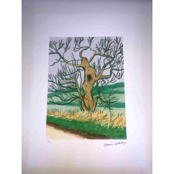 David Hockney  Litografia off set cm 50x70 certificata