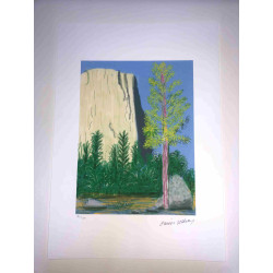 David Hockney  Litografia off set cm 50x70 certificata
