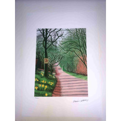 David Hockney  Litografia off set cm 50x70 certificata