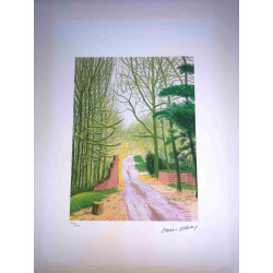 David Hockney  Litografia off set cm 50x70 certificata
