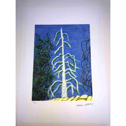 David Hockney  Litografia off set cm 50x70 certificata