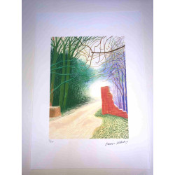 David Hockney  Litografia off set cm 50x70 certificata