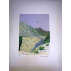 David Hockney  Litografia off set cm 50x70 certificata