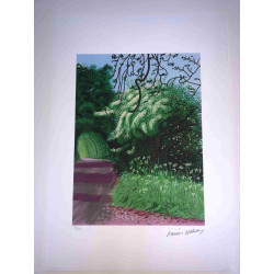 David Hockney  Litografia off set cm 50x70 certificata