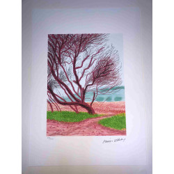 David Hockney  Litografia off set cm 50x70 certificata