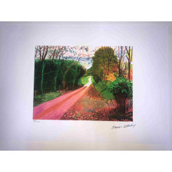 David Hockney  Litografia off set cm 50x70 certificata