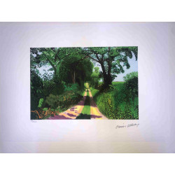 David Hockney  Litografia off set cm 50x70 certificata