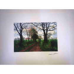 David Hockney  Litografia off set cm 50x70 certificata