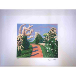 David Hockney  Litografia off set cm 50x70 certificata