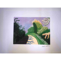 David Hockney  Litografia off set cm 50x70 certificata