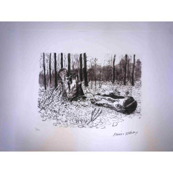 David Hockney  Litografia off set cm 50x70 certificata