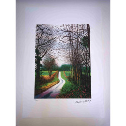 David Hockney  Litografia off set cm 50x70 certificata