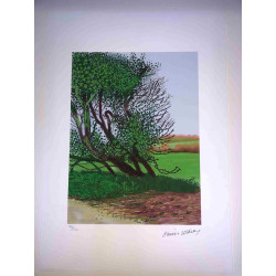 David Hockney  Litografia off set cm 50x70 certificata