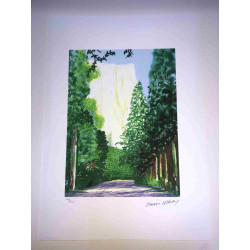 David Hockney  Litografia off set cm 50x70 certificata