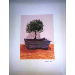 David Hockney  Litografia off set cm 50x70 certificata