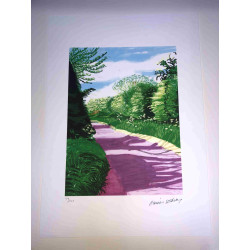 David Hockney  Litografia off set cm 50x70 certificata