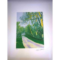 David Hockney  Litografia off set cm 50x70 certificata