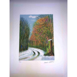 David Hockney  Litografia off set cm 50x70 certificata