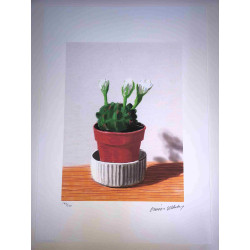 David Hockney  Litografia off set cm 50x70 certificata