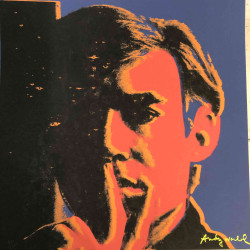 Andy Warhol Lithografie uit set 60x60 cm