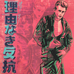 Andy Warhol Lithografie uit set 60x60 cm