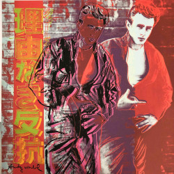 Andy Warhol Lithographie hors set 60x60 cm