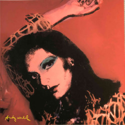 Andy Warhol Lithografie uit set 60x60 cm