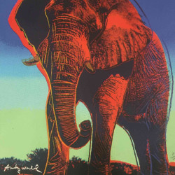 Andy Warhol Lithografie uit set 60x60 cm