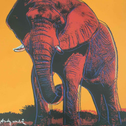 Andy Warhol Lithografie uit set 60x60 cm