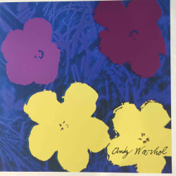 Andy Warhol Lithografie uit set 60x60 cm