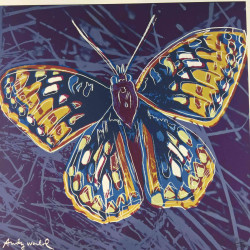 Andy Warhol Set de litografia 60x60 cm