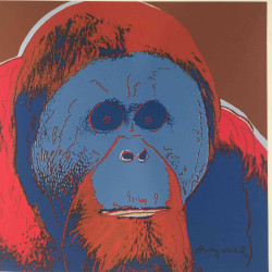 Litografía Andy Warhol off set 60x60 cm