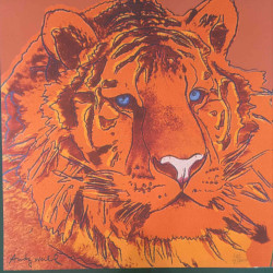 Litografia de Andy Warhol off set 60x60 cm