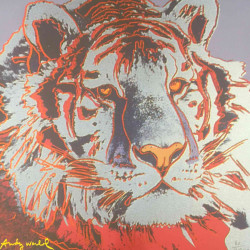 Andy Warhol Lithograph off set 60x60 cm