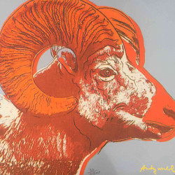 Andy Warhol Set de litografia 60x60 cm