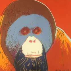 Andy Warhol Lithograph off set 60x60 cm