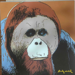 Andy Warhol Set de litografías 60x60 cm